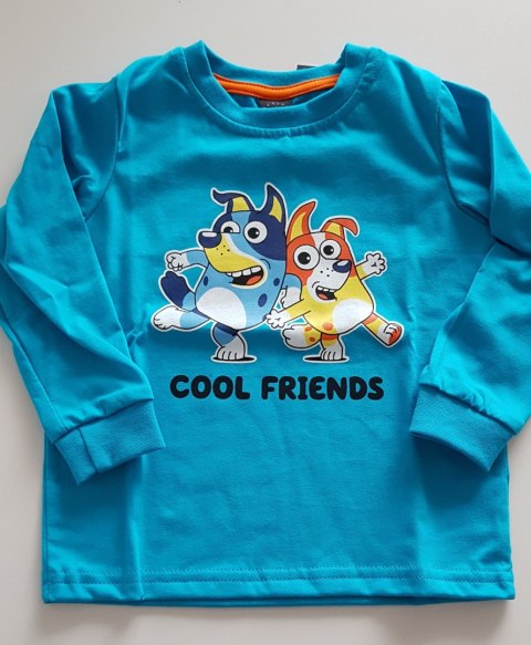 BLUZKA CHŁOPIĘCA COOL FRIENDS DR R.98-116